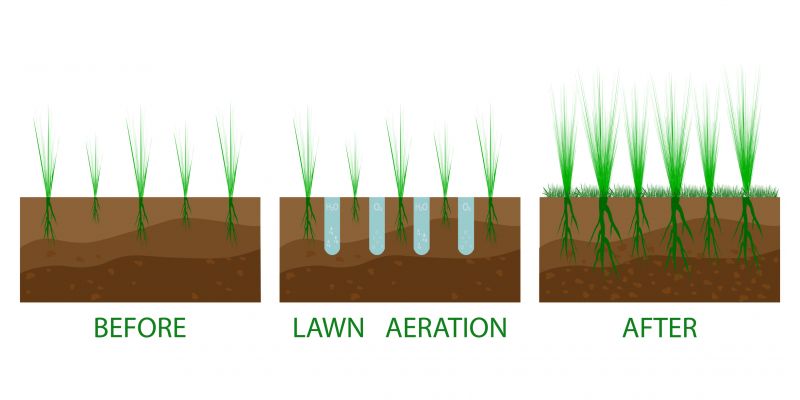 Lawn Drainage Installation